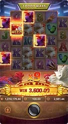 n777 · Rooster Rbl